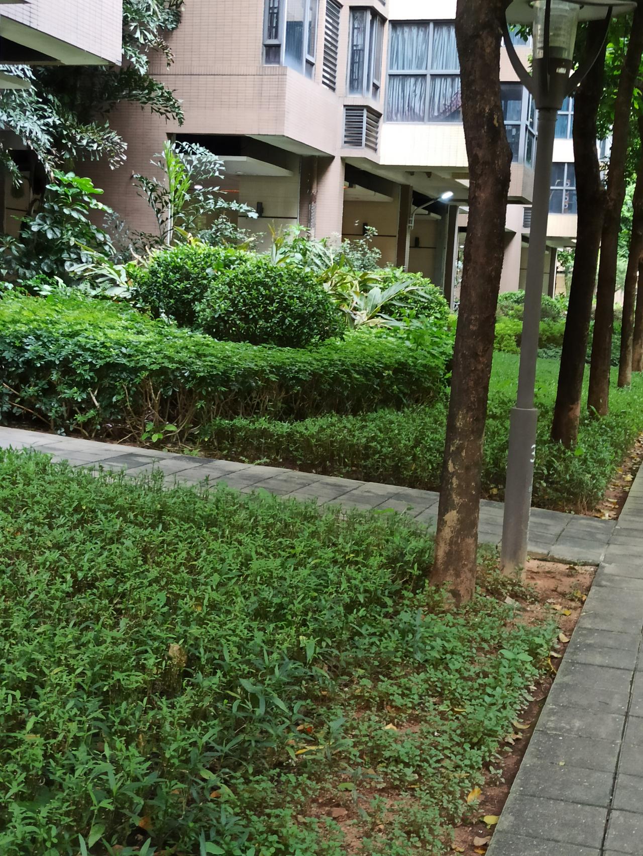 小孩放暑假，小区多了很多来帮带小孩的老人，但有的老人真的是太没有素质了！

刚从