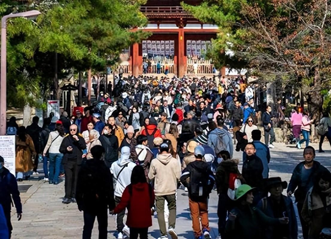 前往日本的人。
反而更多了。

日本机场又挤满中国游客。
但这次不一样。

人均