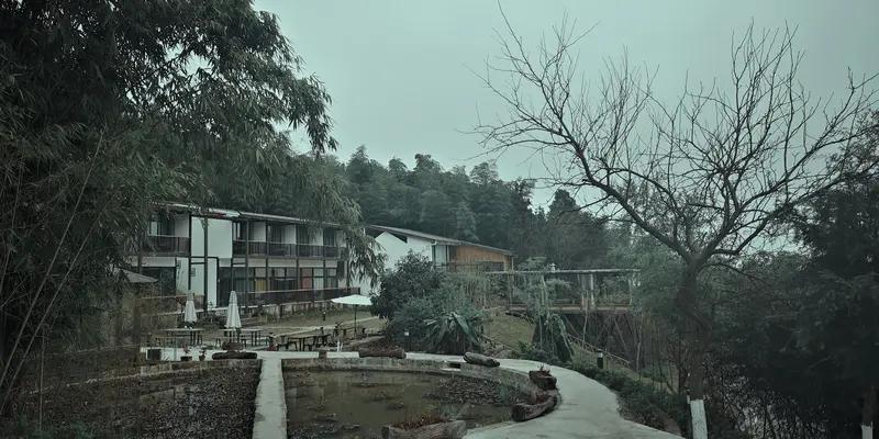 长相思：乡野酒店
        杏陌村，竹岭村，石径蜿蜒酒店门。旌飘引客飧。