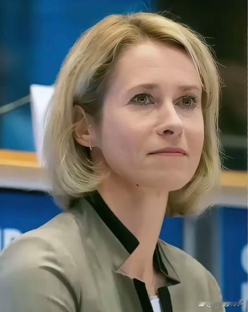 欧盟外交与安全政策高级代表卡拉斯称，对俄罗斯使用“榛树”导弹再次打击乌克兰，呼吁