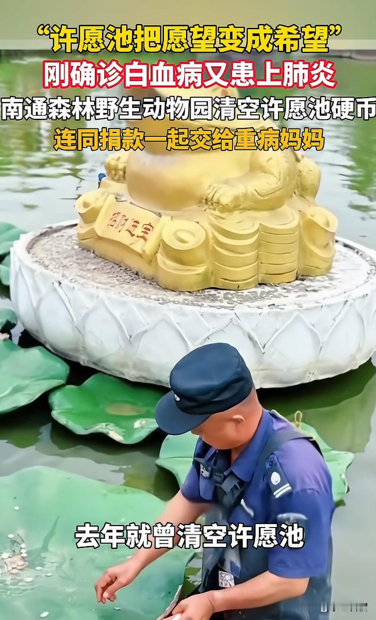 被这则新闻感动到了！南通野生动物园的做法再度让人刮目相看！
        偶然