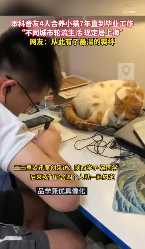 太有爱了！陕西，一男子和三位室友偶然收养了一只流浪猫。四个大男孩从此当起了“猫奴