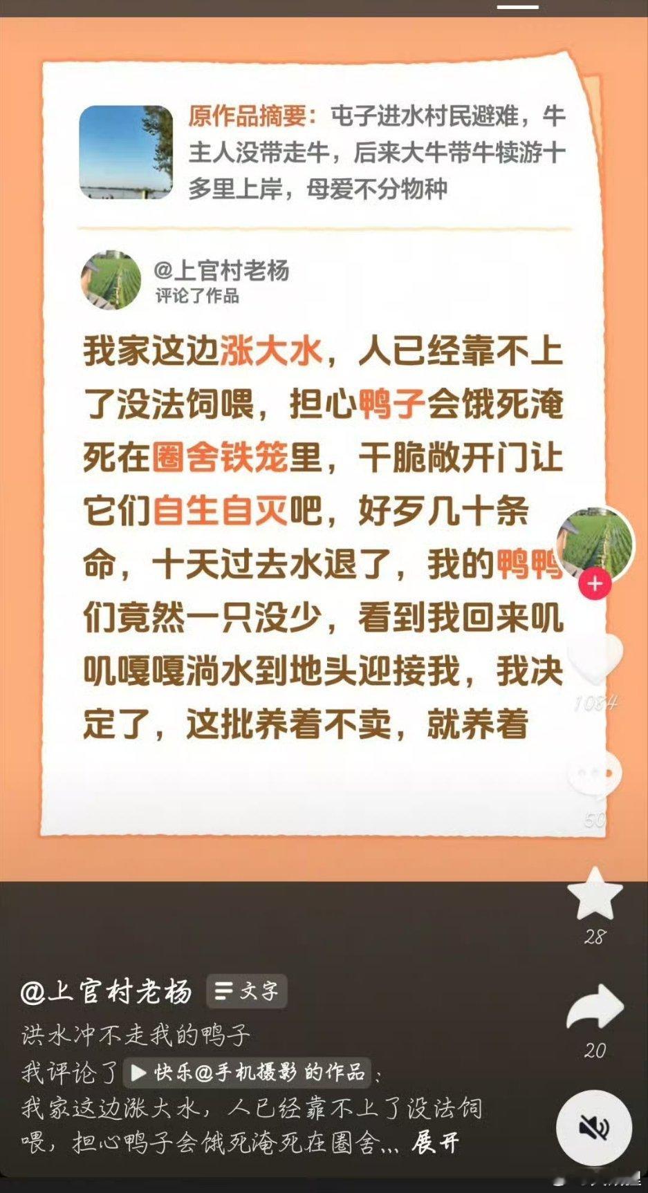 这个让我想起之前看的一个视频，主人在自家农场的鸭子/鹅子面前假装晕倒，测试她的动