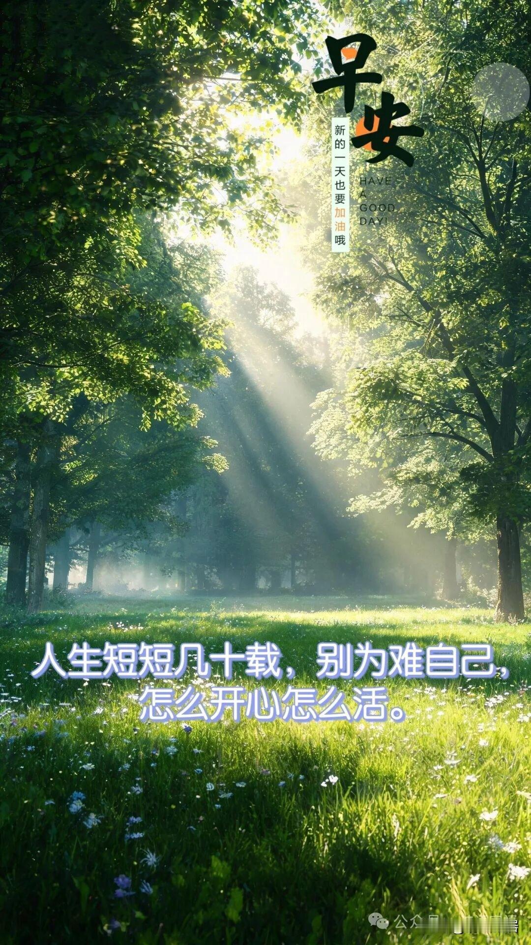 真心话茶局稀里糊涂的，又到了周末，不知不觉中走过一天又一天。留下了什么？好像只有