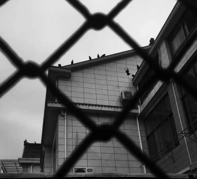 【邻里恩怨引发血案：一场因占地和猪栏引发的悲剧震惊社会】

浙江某市，一起令人震