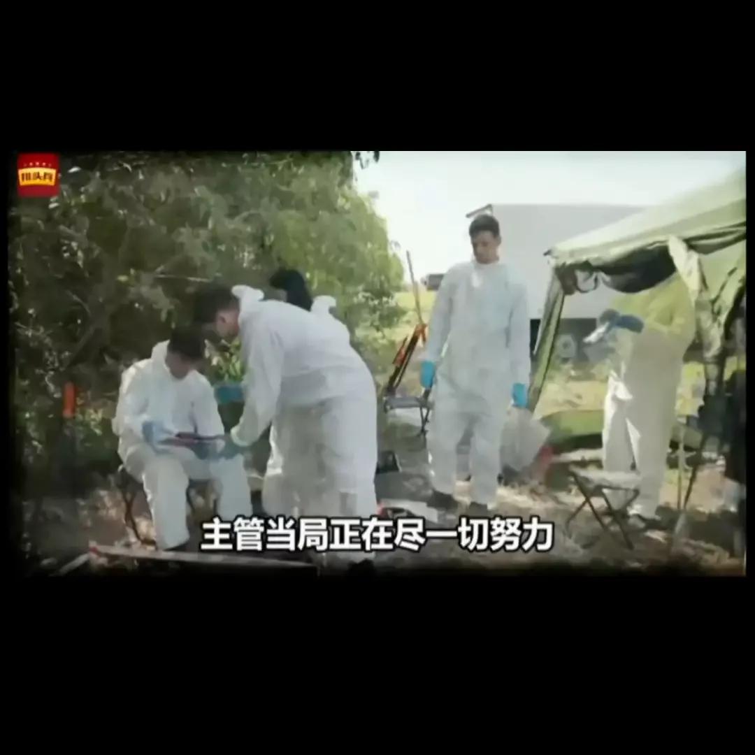 今日俄罗斯媒体RT发布了一段视频，称在马里乌波尔郊区发现了一个万人坑，里面有妇女