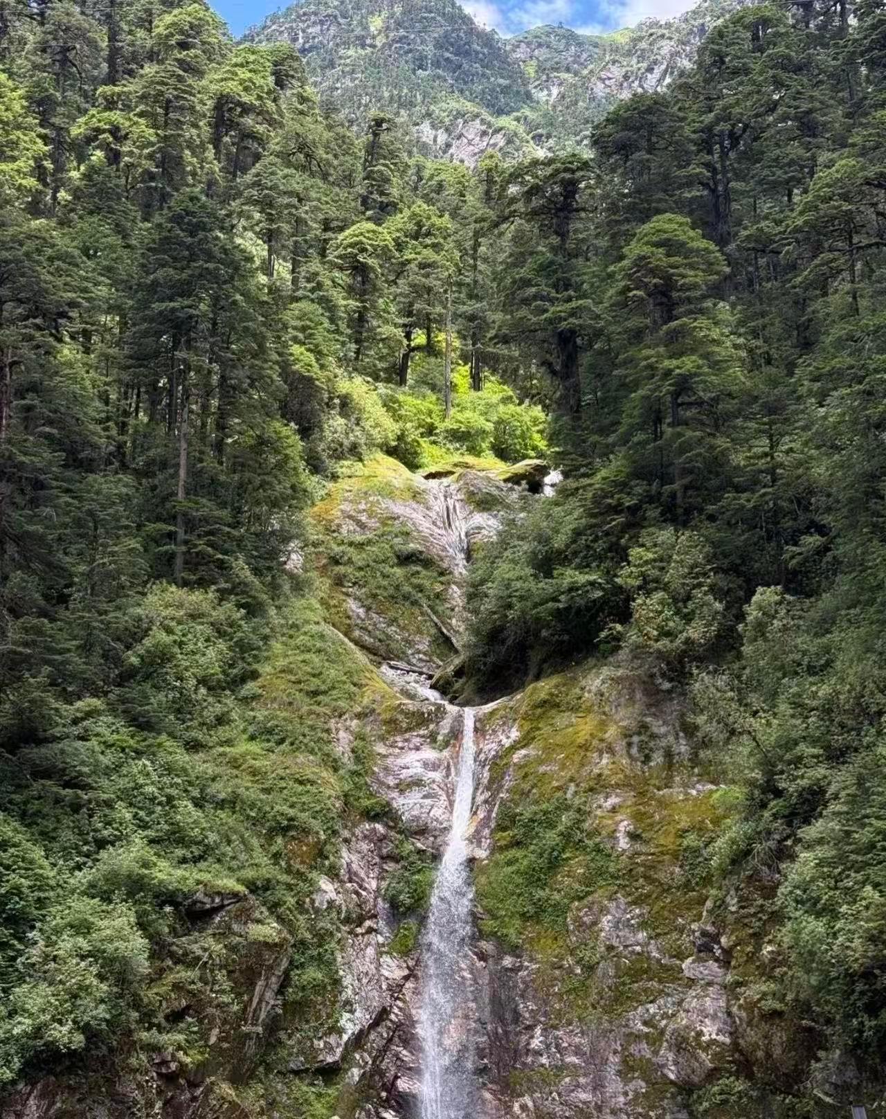戍边的苦分千万种总得有人扛墨脱曾是全国唯一不通公路的边境孤岛，雪山封山、密林险路