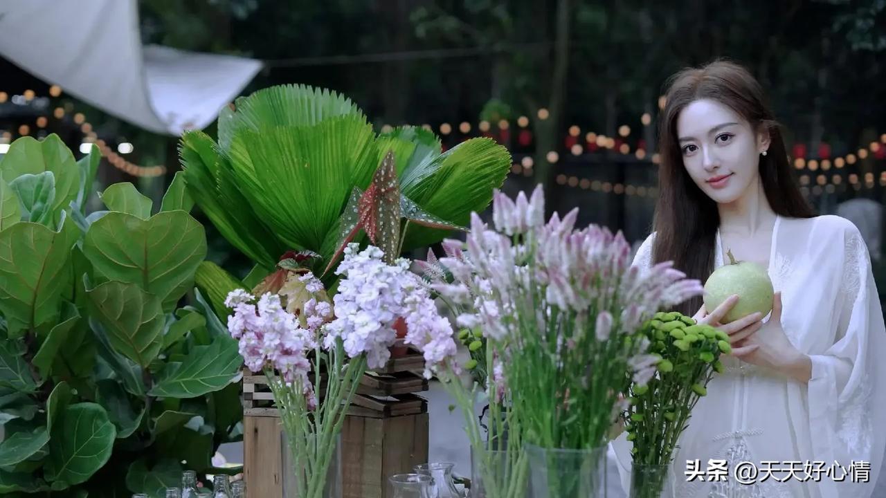 美女收集明星写真