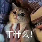 藕彤爱玩娱乐