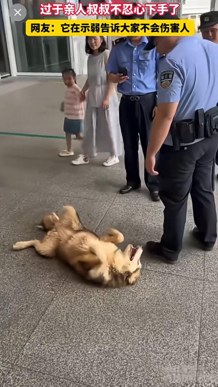 笑死了。