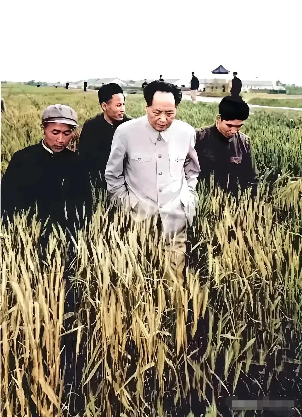 🙏请停留几秒，为伟人点个赞送朵花💐
《国庆佳节颂毛主席》
伟人毛主席，心中装