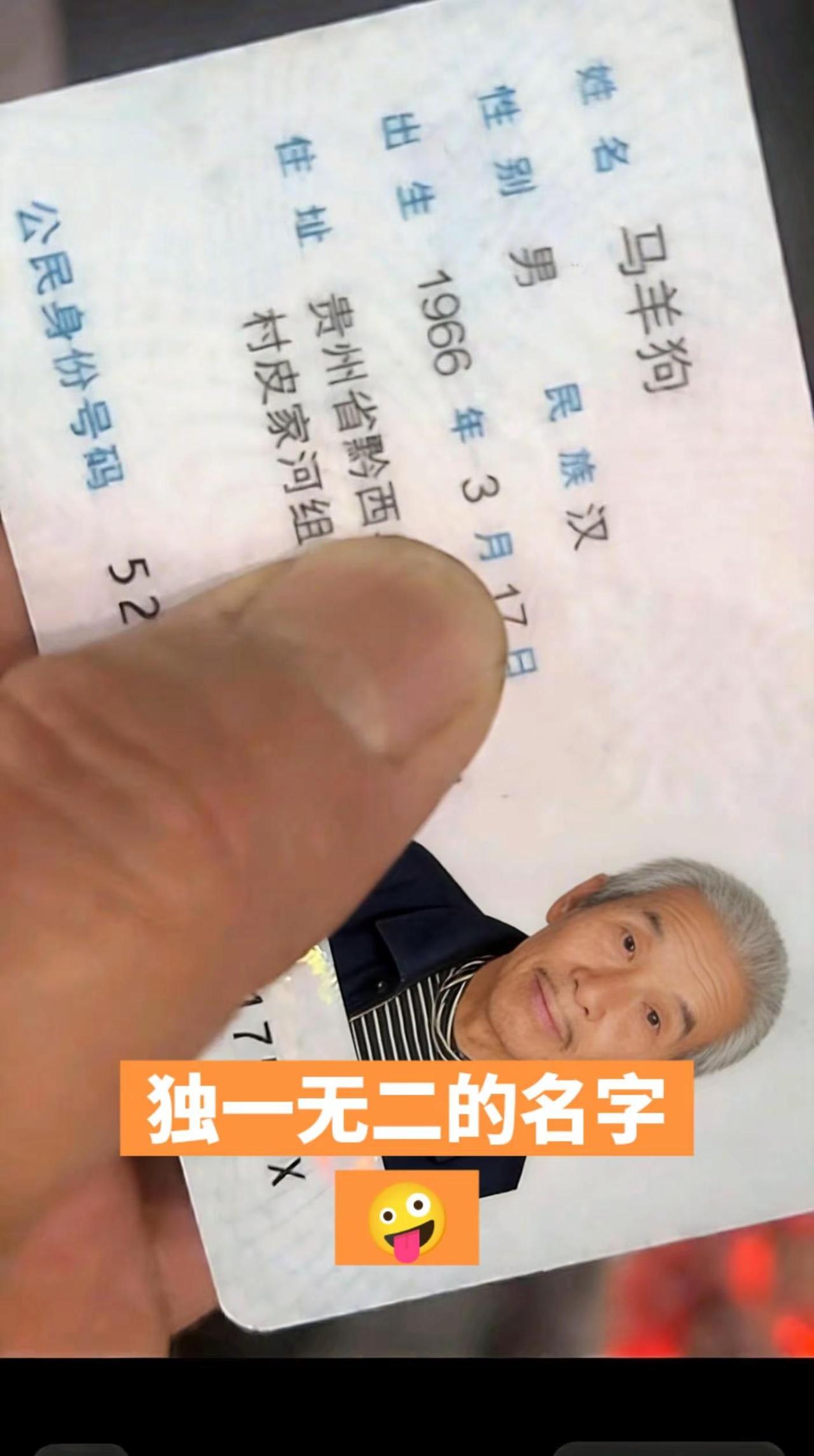 我的图片 随变ai随便玩 一般人不告诉他 被逼疯的家长