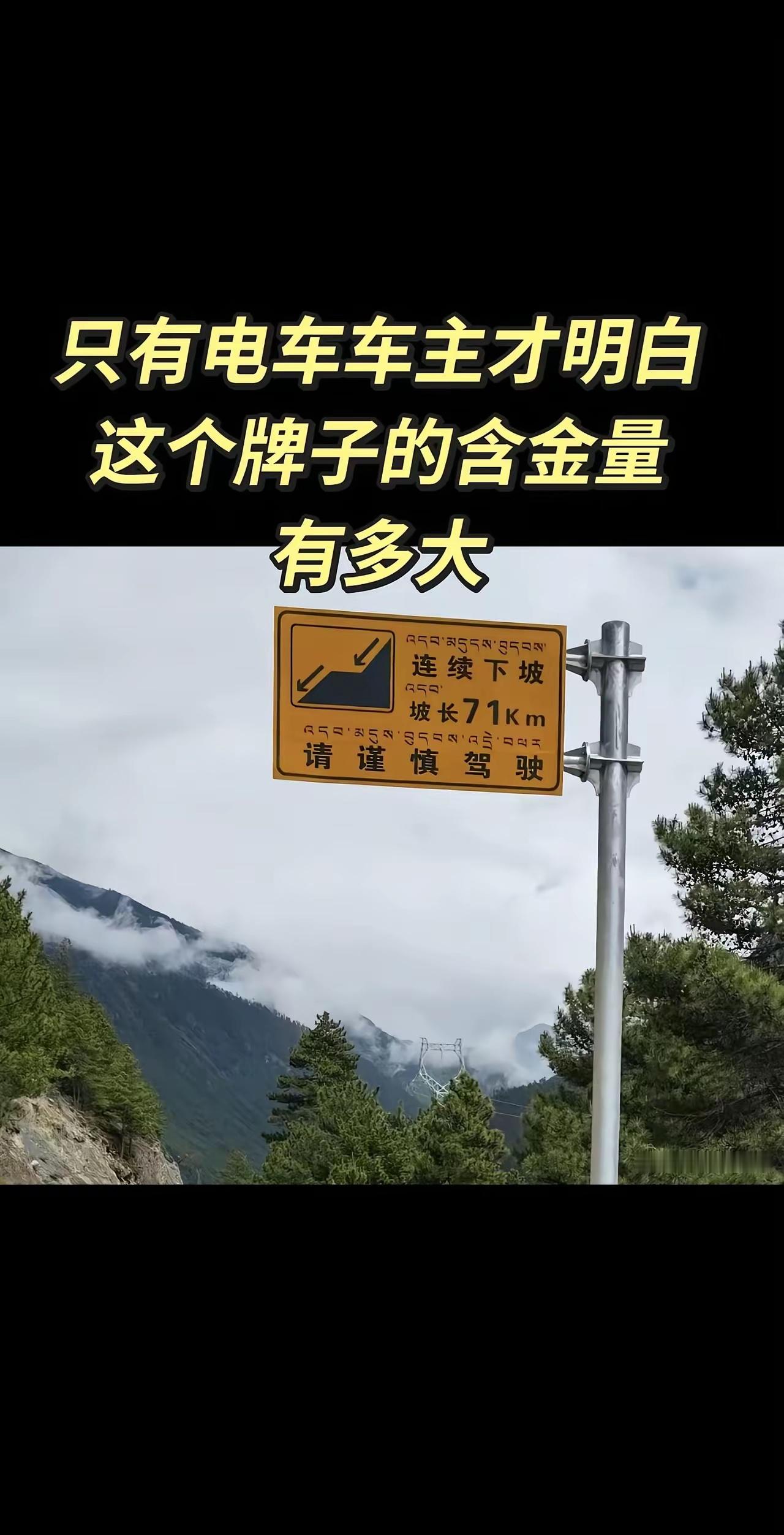 只有电车车主才明白这个牌子的含金量有多高 