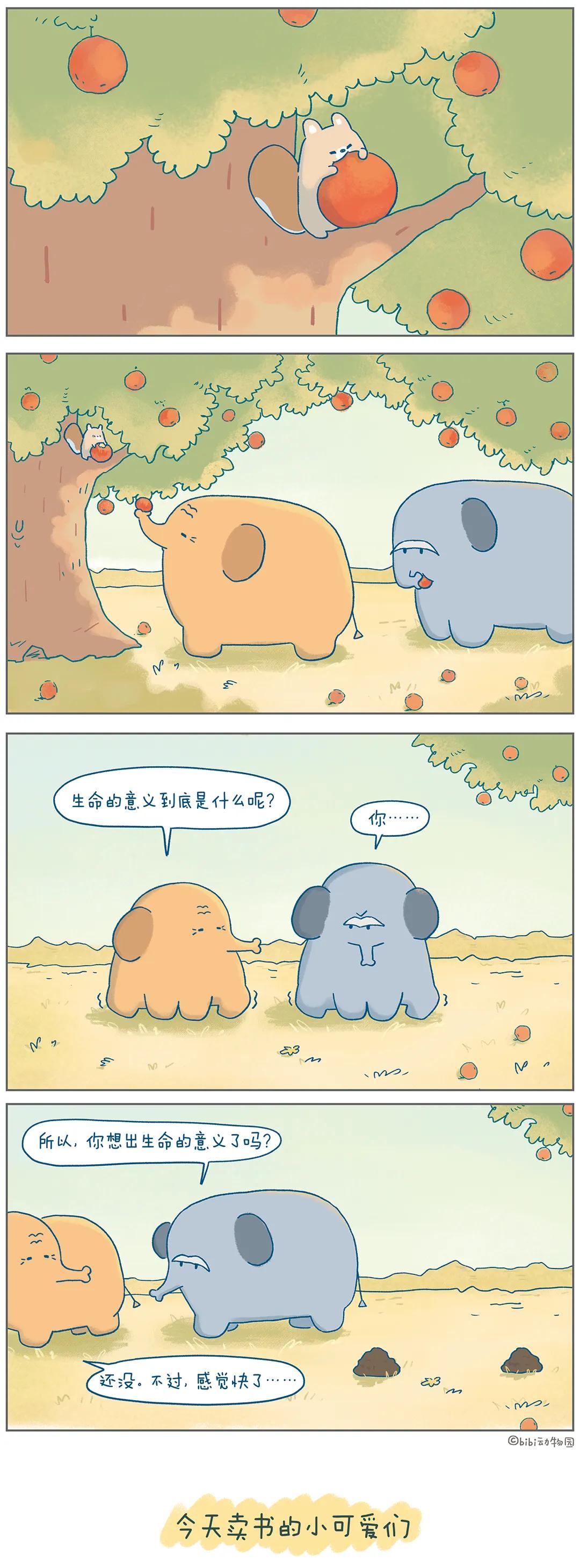我一般都看别人
