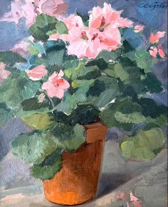 粉红盆栽天竺葵 Pot O'Pink Geraniums，Carol Guzma