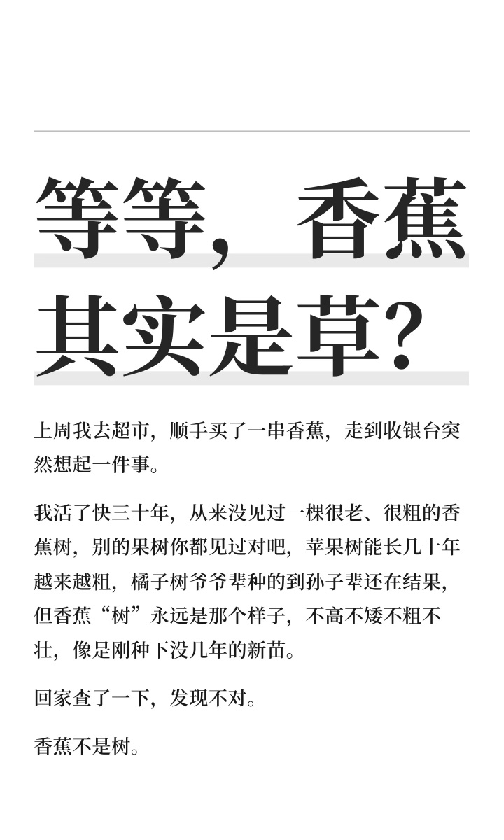 等等，香蕉其实是草？ 