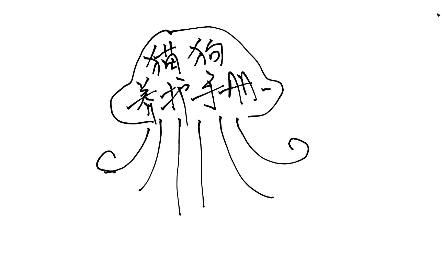 🪼🪼🪼 