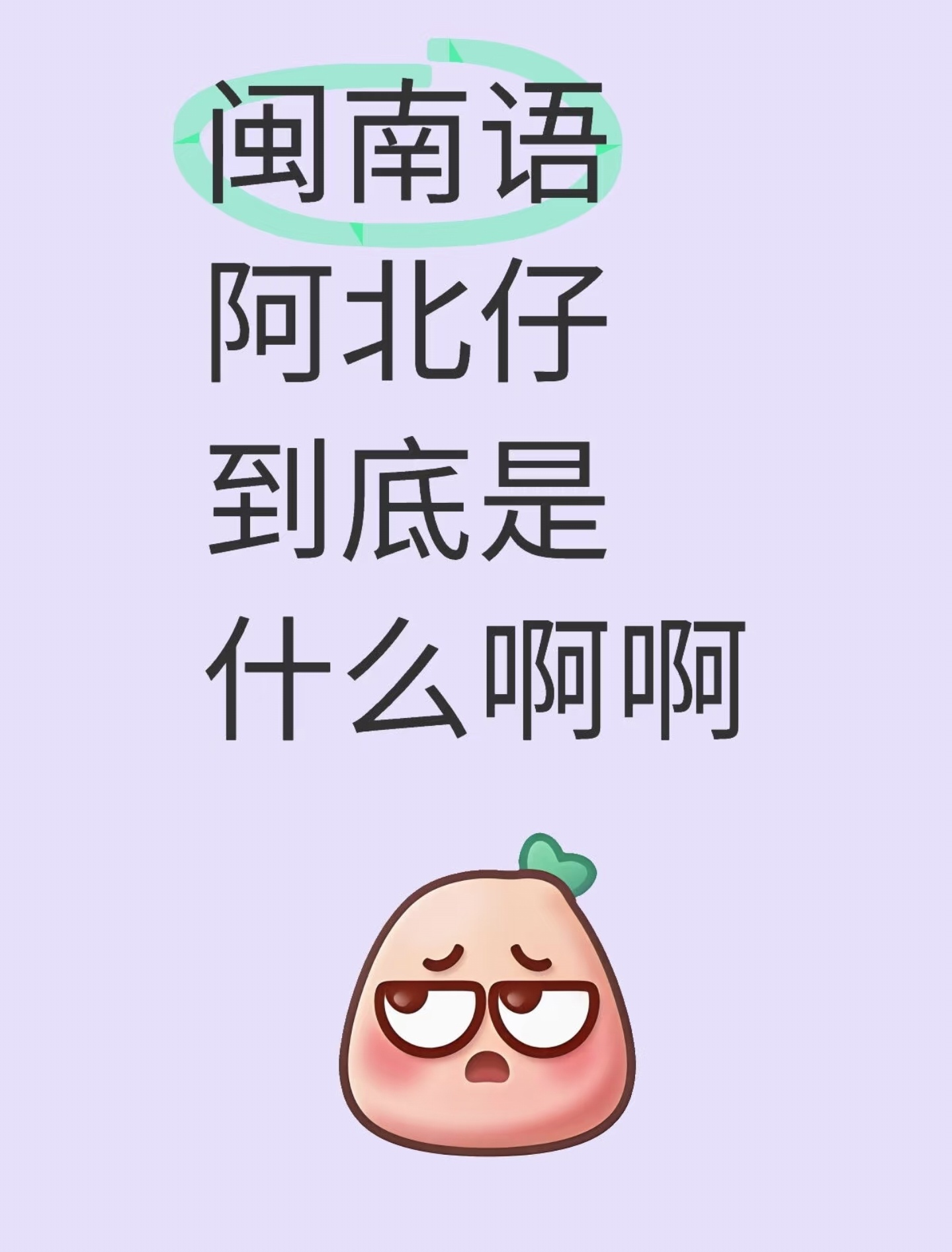 阿北仔是老一辈闽南人对除福建人以外的所有人的称呼，带一丁点贬义的味道。新一代的大
