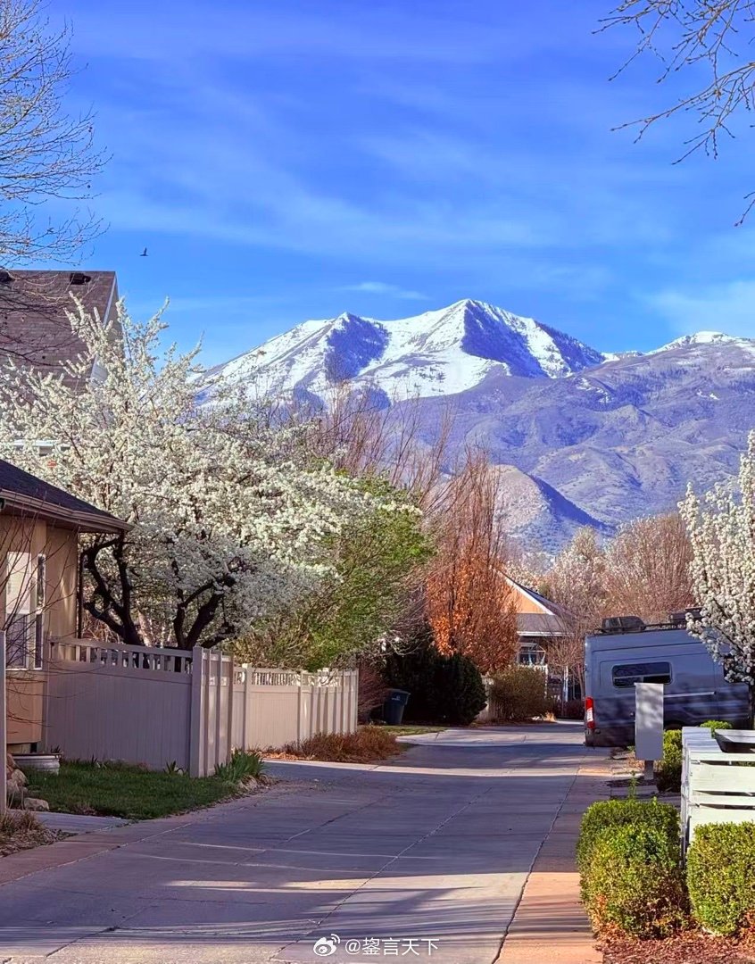 家门口的雪山 乖妈摄影 