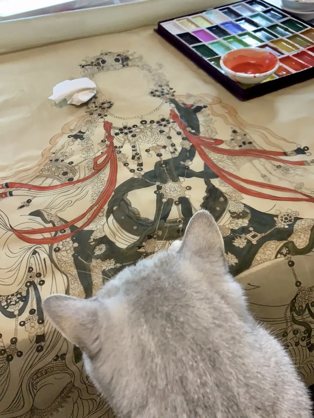 从未见过如此厚颜无耻之小猫 还返回案发现场观赏起来了😂