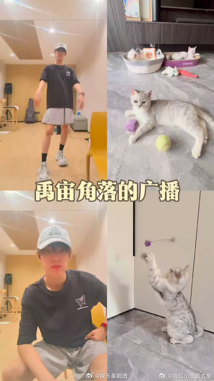 张泽禹给猫起名复制粘贴张泽禹给猫起名是有点子幽默在身上的！从鱼香、肉丝到复制、粘
