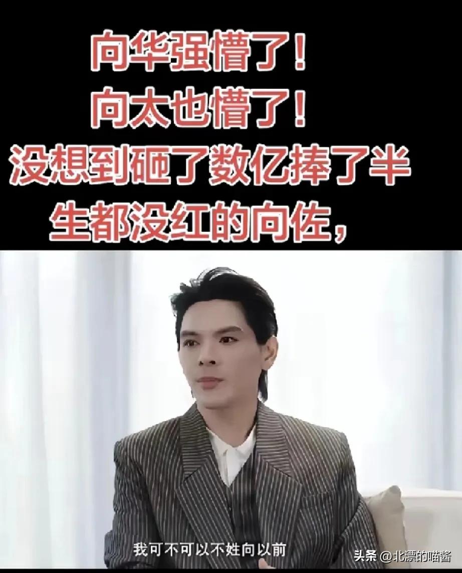 不要羡慕向佐，夹在养母、生母、姐姐、弟弟中间时常觉得“很难做人”，尤其所有人偏爱
