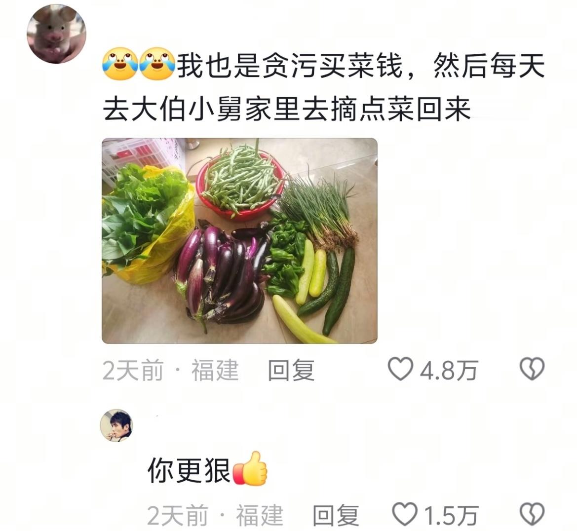 大学生暑假唯一稳定收入笑不活了！硬生生把高铁报成硬座，能多报绝不实报主打一个精打