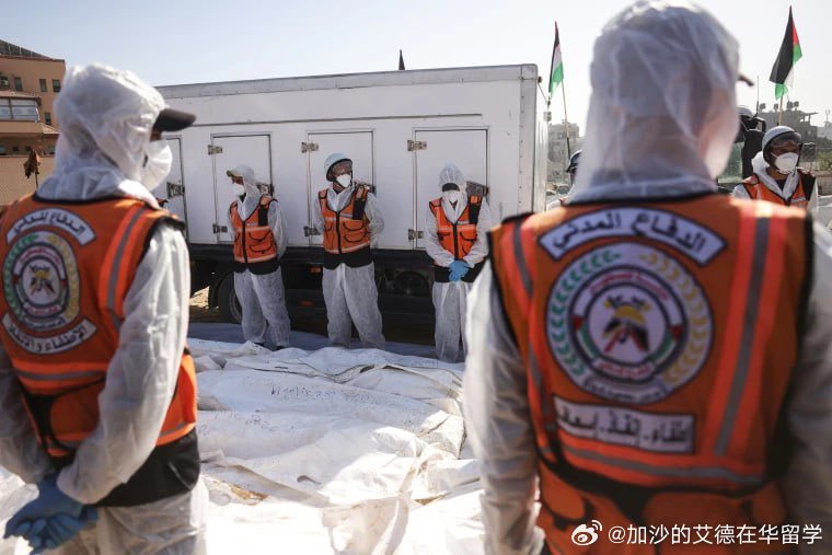 加沙的巴勒斯坦卫生部于2025年11月8日报告称，在过去72小时内，有10名巴勒