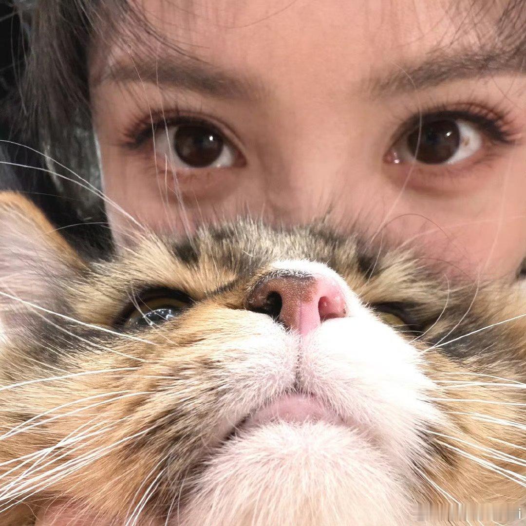 田曦薇人猫plog来啦！田曦薇，萌！康康，萌！田曦薇和康康的合照更是萌上加萌