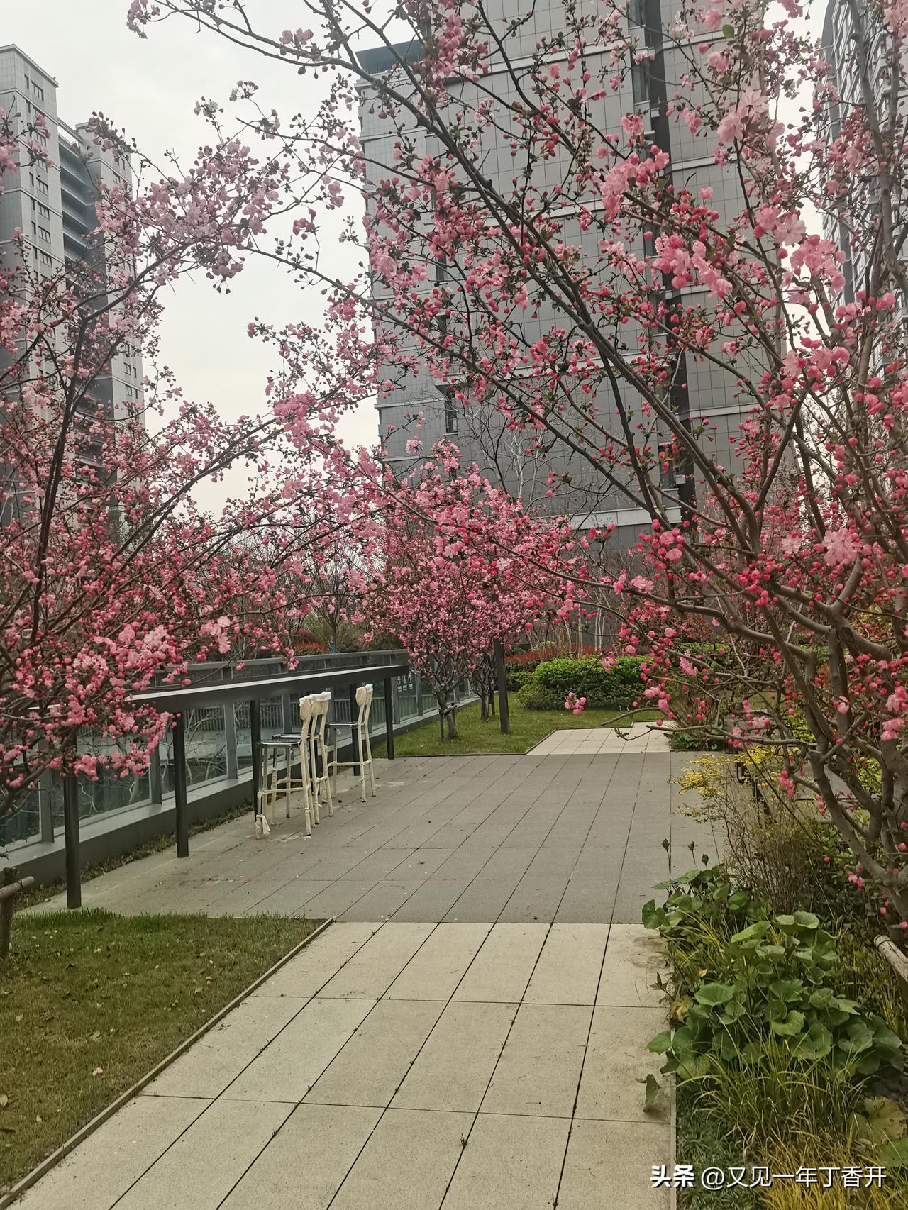 小时候的贫穷刻在骨子里

吉林市有一家自助盒饭，一份十五块钱，他家食物特别丰盛，