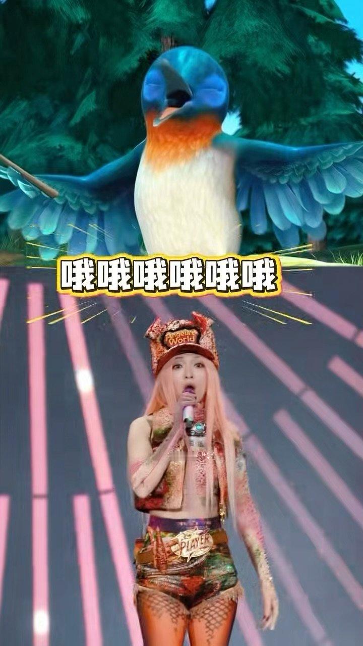 张韶涵很努力的想带飞歌迷 张韶涵演唱会声乐课堂开课了张韶涵演唱会上演趣味一幕，化