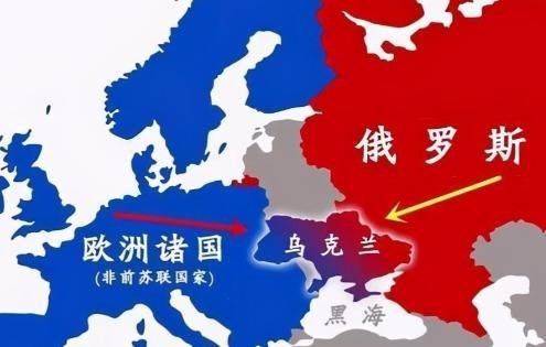 金灿荣建议： 我们自始至终都不要去染指俄乌。金灿荣不再含糊其辞，而是比较明确地指