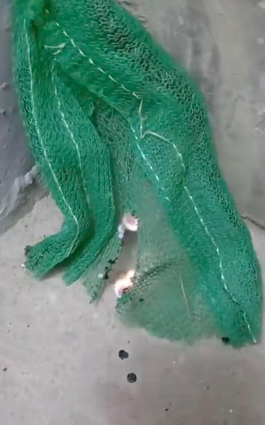 香港这方面太掉以轻心了，大陆曾经吃过亏，为什么不借鉴
   大陆十几年前建筑行业