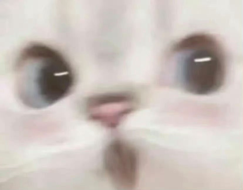 网页链接 生日大屏解锁，屏多人流大，转赞评共1.8w解锁五天，共2.5w多加一个