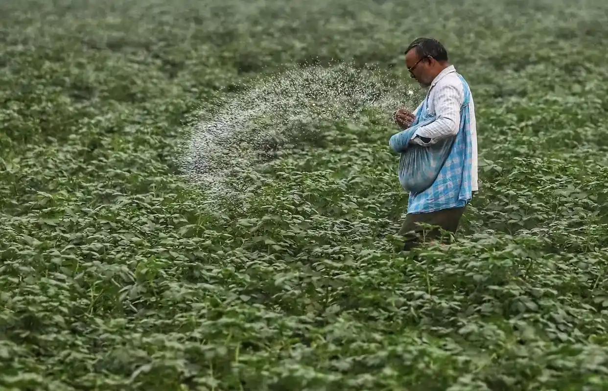 印度这波操作直接把全球尿素市场搅得鸡犬不宁，不管不顾砸钱扫货一口气拿下250万吨
