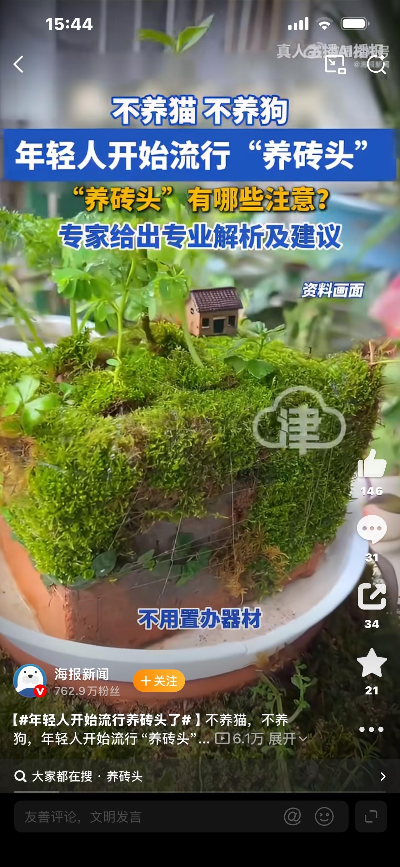 年轻人开始流行养砖头

万万没想到，现在年轻人流行的新爱好，竟然是养砖头。路边捡