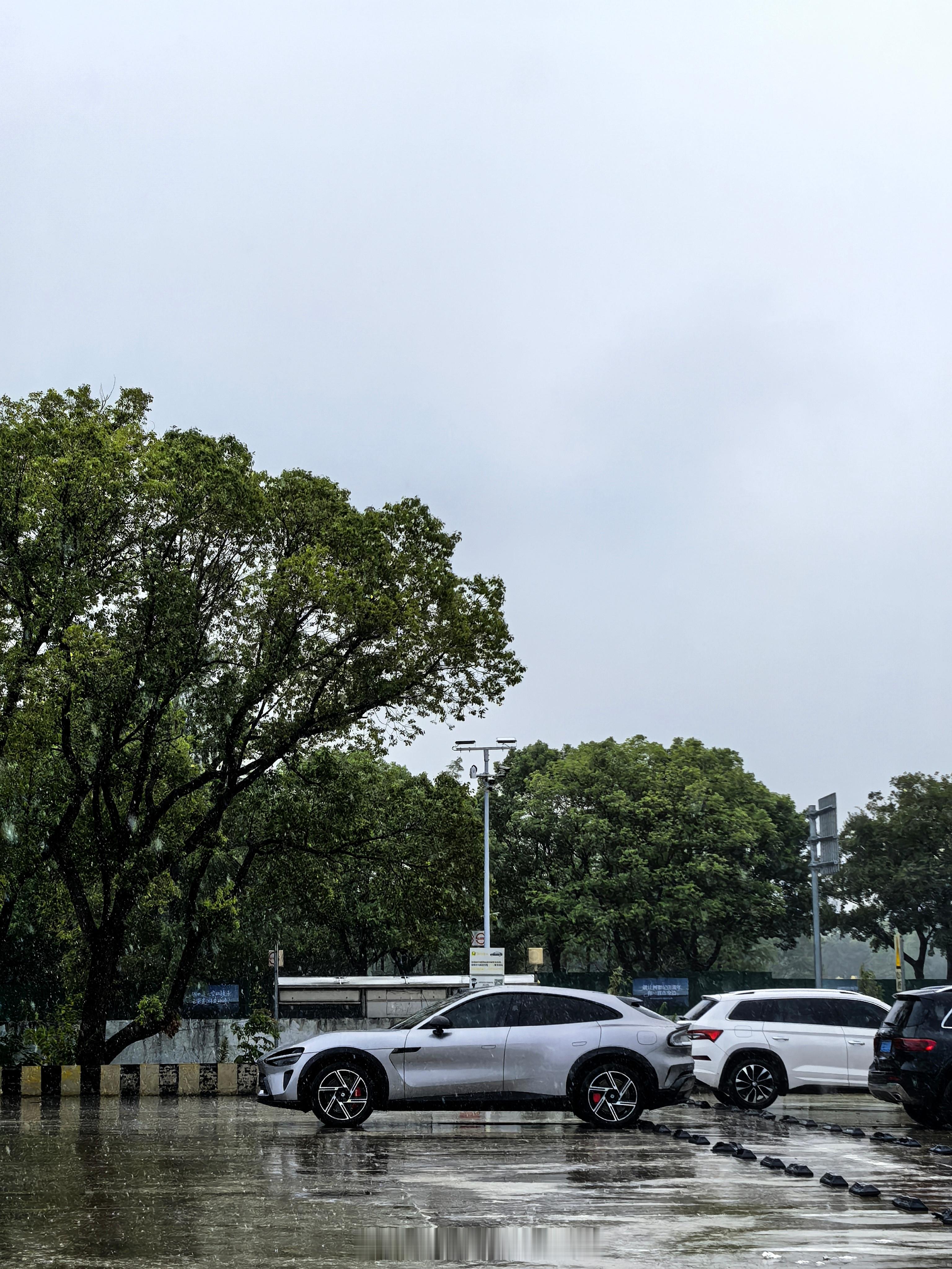 已经慢慢能遇到了，目前为止白色、银的都看到过了。 ​​​