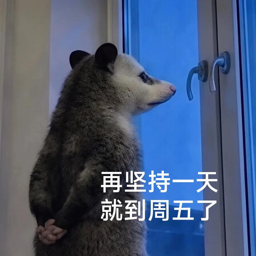 居家办公两天在家躲雨，考虑一下明天是不是应该去公司刷个脸，希望早高峰不要下雨，非