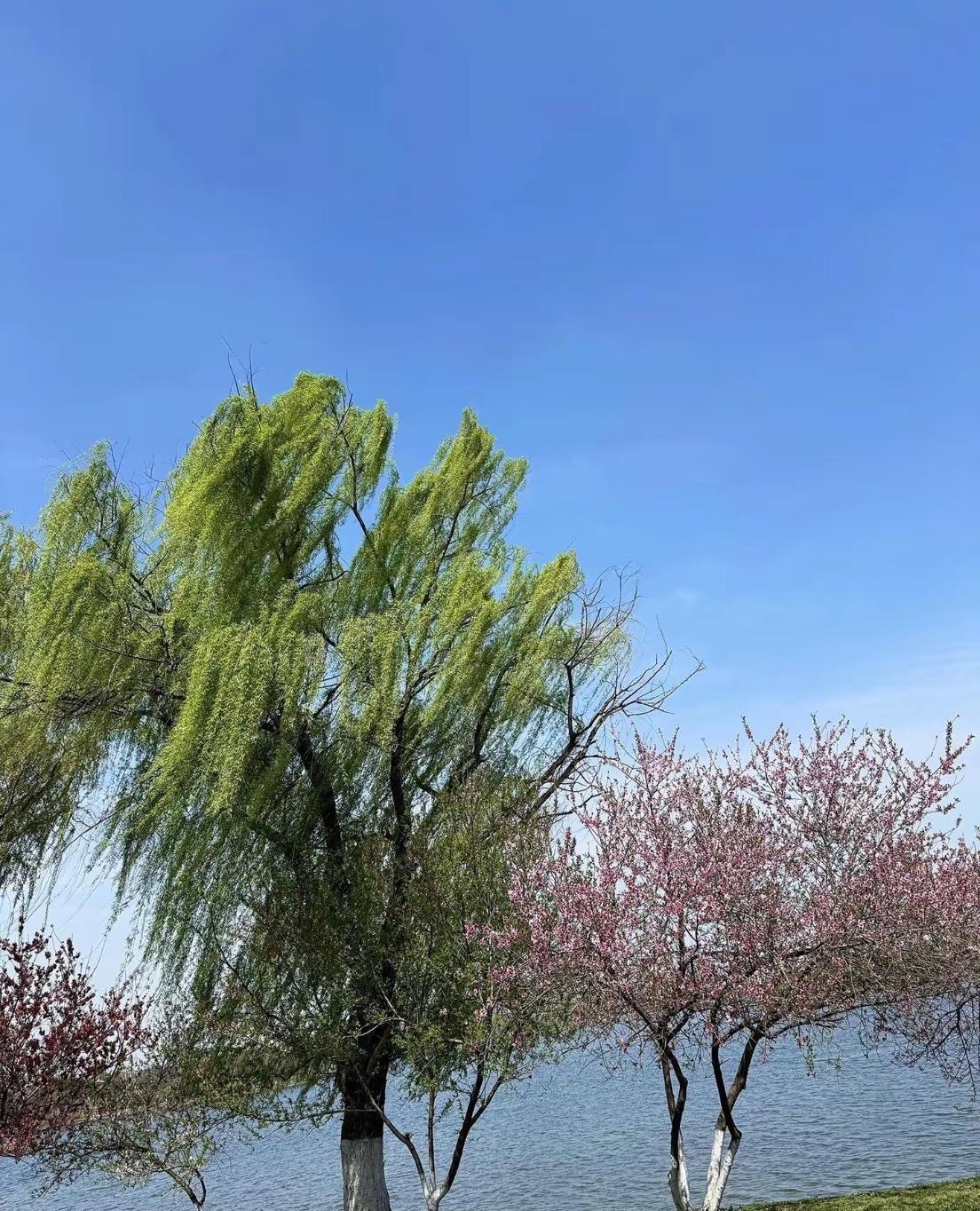 允许不完美的存在，接纳不同的声音，在可控的范围内静好安然，在不可控的范围顺其自然