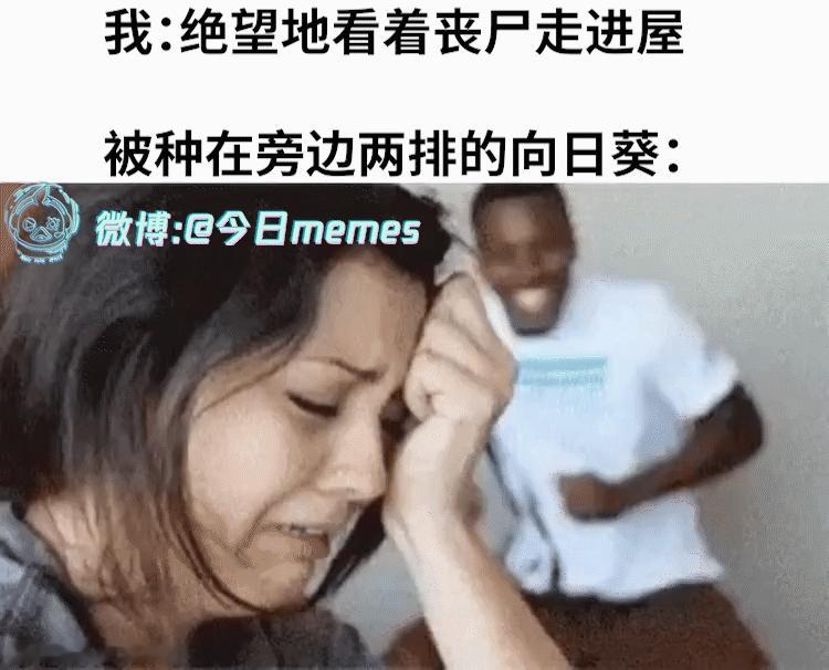该摇（9gag）今日meme[超话]今日memes ​​​