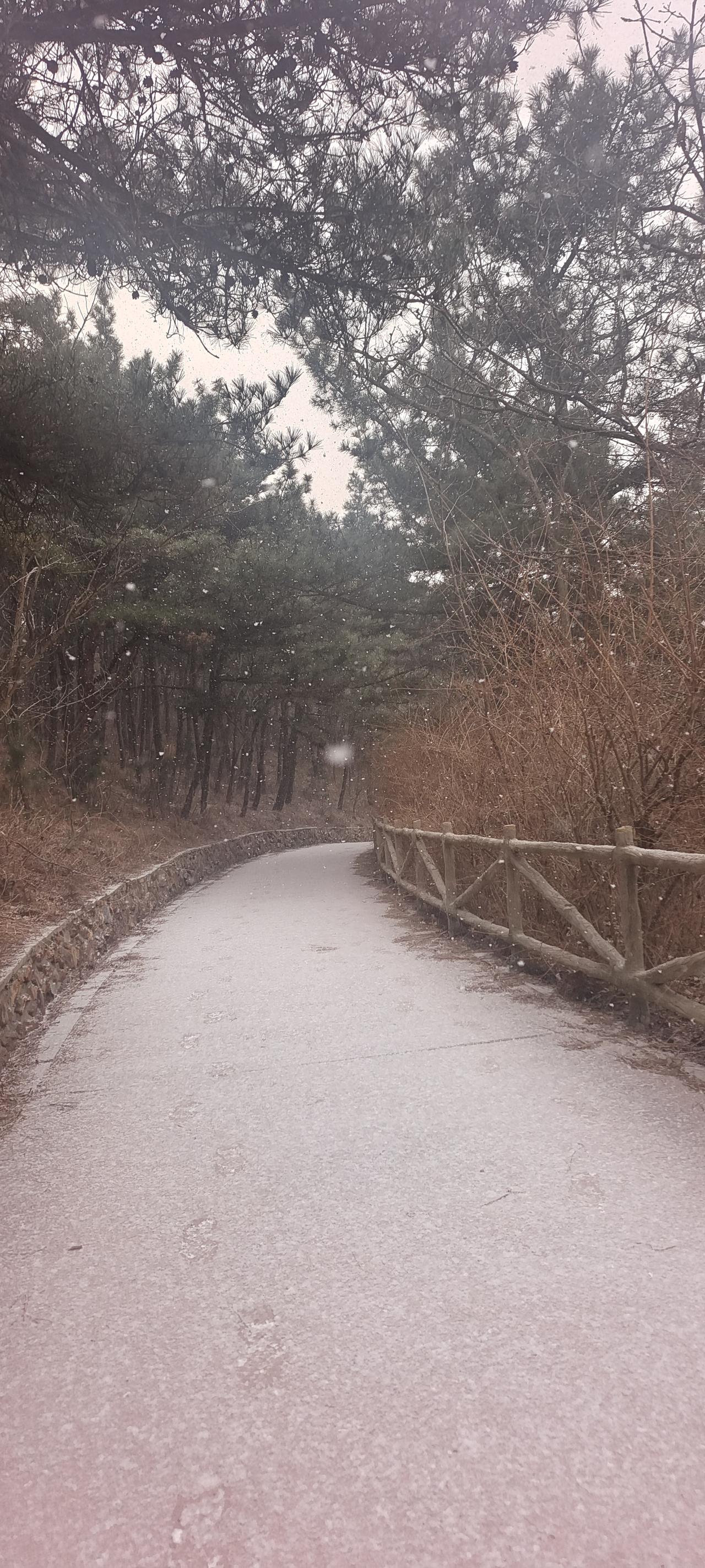 太阳真红，下雪了，马上拄着棍跑出去了，生怕雪停了。踏着台阶而上，山上雪更好。还好