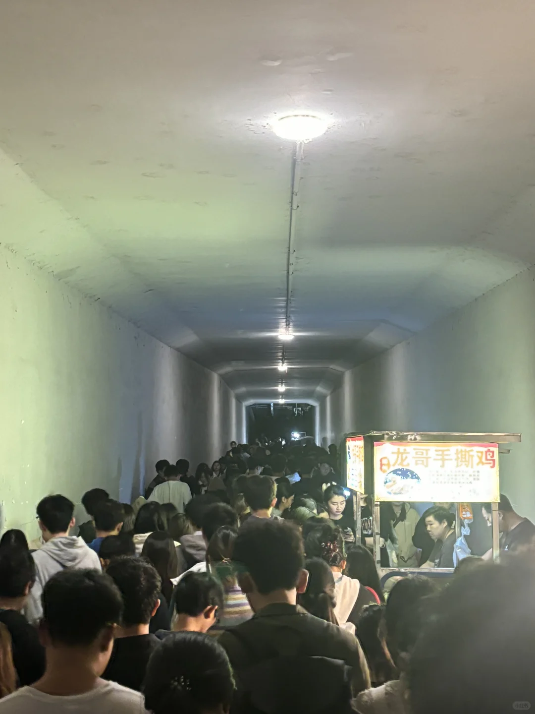 广科大坑边！有没有人告诉我谁家好吃