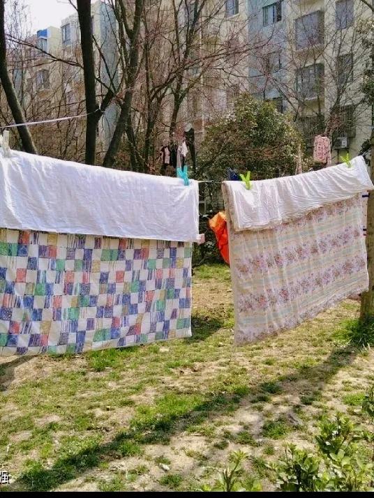 哈哈哈，终于为懒惰找到了借口！

1：一直以来，不叠被子被认为是偷懒又邋遢的行为