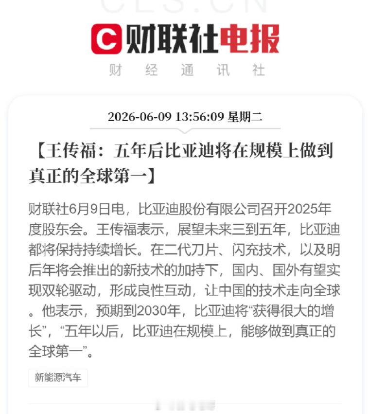 王传福称5年后比亚迪规模全球第一 王传福表示，展望未来三到五年，比亚迪都将保持持