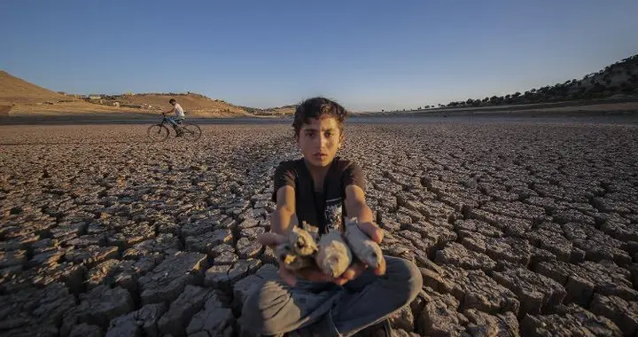 世界气象组织：2025年将成为有记录以来第二或第三热年份