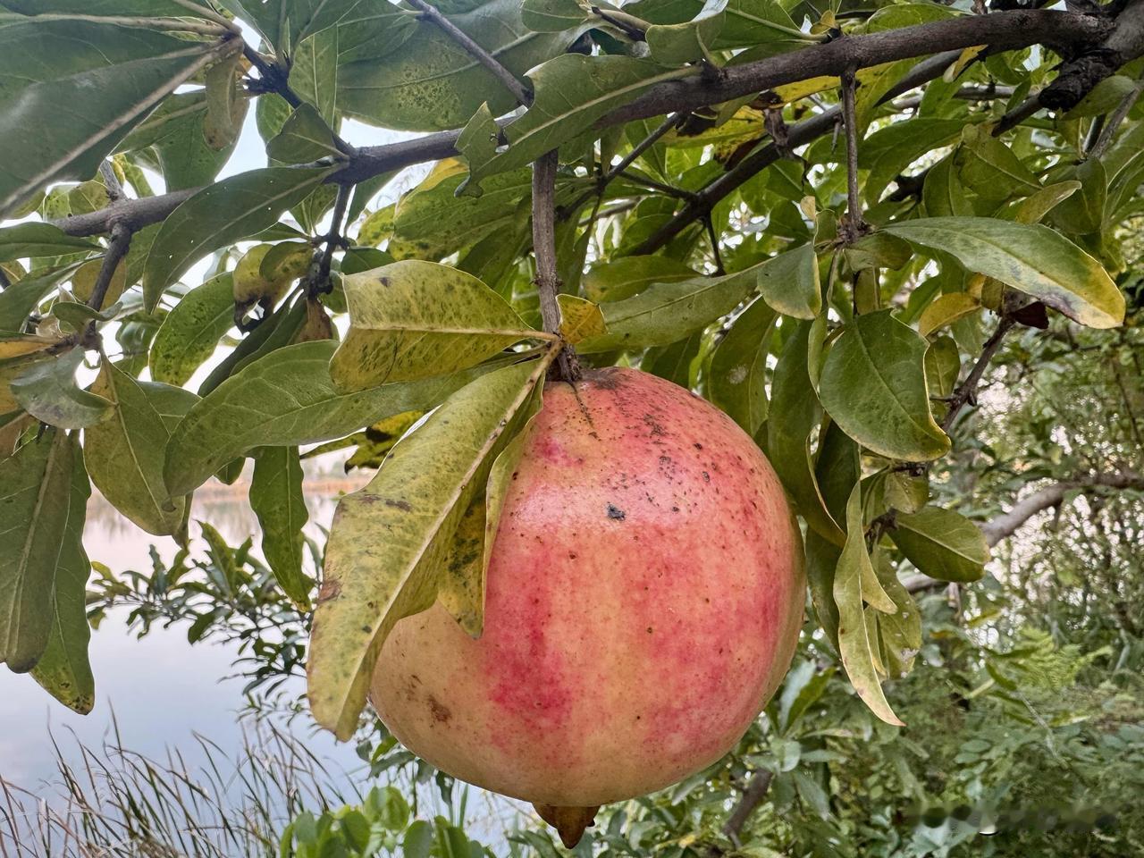 如果你赚不到钱，说明你对别人的价值不够大。

让自己变得更好是解决问题的关键。