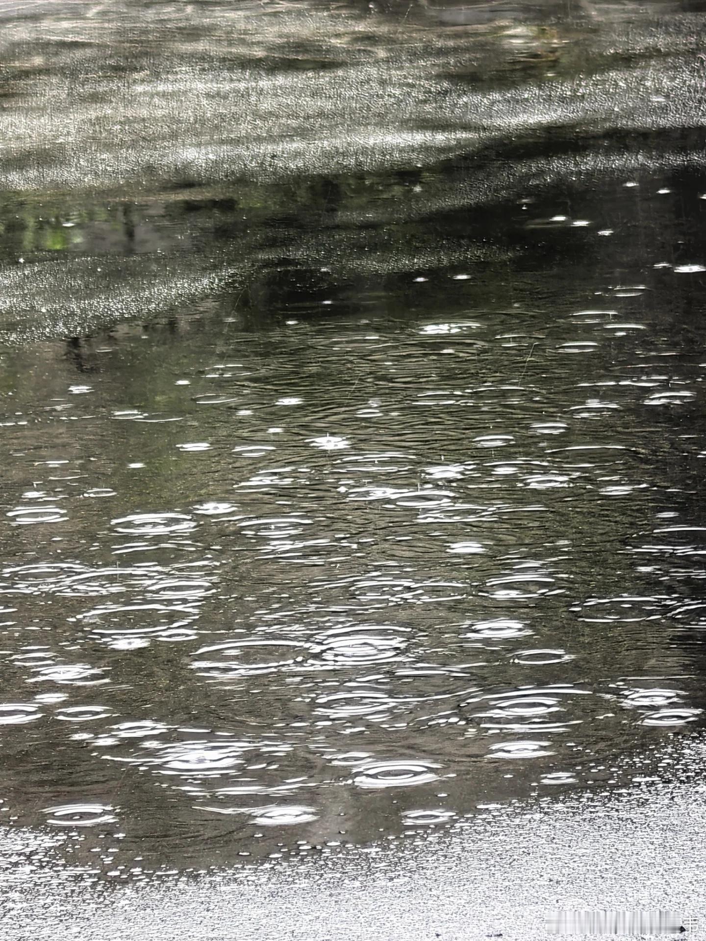 听说七夕都是要🌧️的雨中同行是最好的七夕所以你不慌不忙的来了祝你我七夕快乐喽！