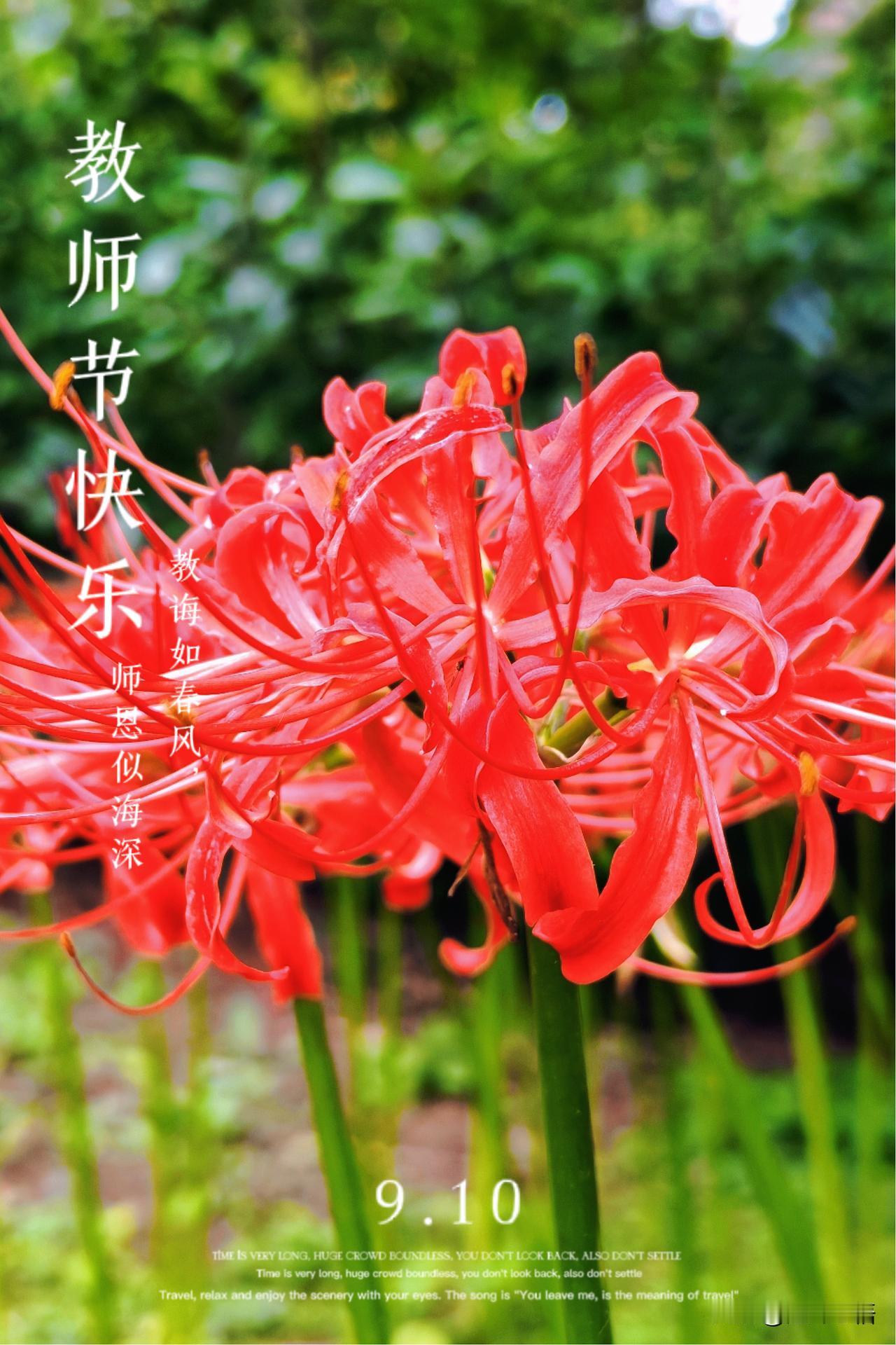 教师节快乐！
