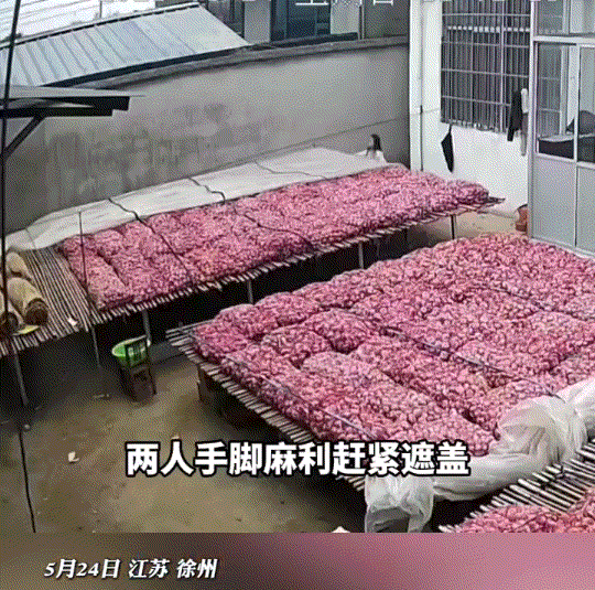 江苏，一妈妈在家露天晾晒大蒜，晒好大蒜后妈妈便出门去了，不料出门期间天气突变下起