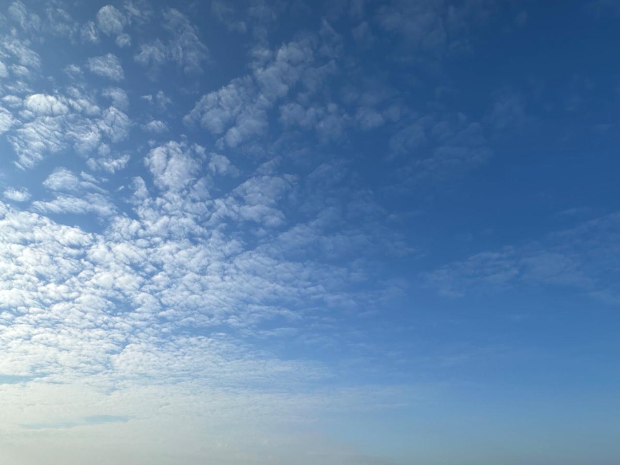 老人沉迷短剧老母亲最近爱上看短剧，已经到了沉迷的程度。什么恶保姆，坏媳妇，什么弟